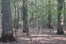 Położenie nadleśnictwa