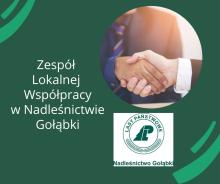 Spotkanie Zespołu Lokalnej Współpracy